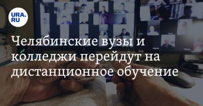 Ирина Гехт - Челябинские вузы и колледжи перейдут на дистанционное обучение - ura.news - Москва - Челябинская обл.