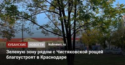 Зеленую зону рядом с Чистяковской рощей благоустроят в Краснодаре - kubnews.ru - Краснодарский край - Краснодар - Благоустройство