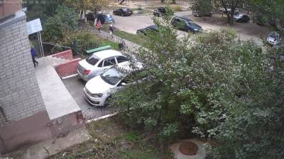 Напуганным школьникам пришлось убегать от агрессивных собак в Воронеже: появилось видео - vestivrn.ru - Воронеж
