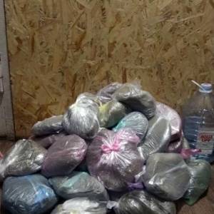 У жителя Запорожской области изъяли наркотики на полмиллиона гривен. Фото - reporter-ua.com - Запорожская обл. - Запорожье