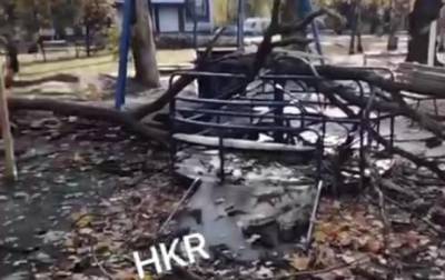 В Кривом Роге ветка упала на ребенка, игравшего на детской площадке - korrespondent.net - Украина - Кривой Рог