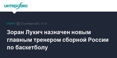 Зоран Лукич - Зоран Лукич назначен новым главным тренером сборной России по баскетболу - sport-interfax.ru - Москва - Россия - Санкт-Петербург - Италия - Нижний Новгород - Исландия