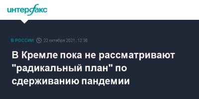 Дмитрий Песков - В Кремле пока не рассматривают "радикальный план" по сдерживанию пандемии - interfax.ru - Москва - Россия
