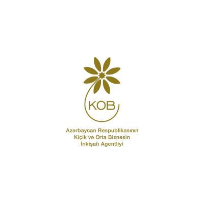 Агентство по развитию МСБ готово к всесторонней поддержке альтернативной энергетики в Азербайджане - trend.az - Азербайджан