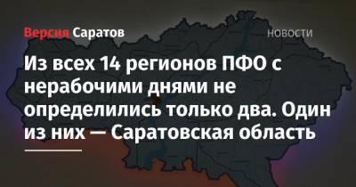 Владимир Путин - Из всех 14 регионов ПФО с нерабочими днями не определились только два. Один из них — Саратовская область - nversia.ru - Россия - Башкирия - респ. Татарстан - респ. Чувашия - Саратовская обл. - Кировская обл. - Ульяновская - окр.Приволжский - респ. Марий Эл - респ. Удмуртия - Оренбургская обл. - Пензенская обл. - республика Мордовия