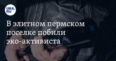 В элитном пермском поселке побили эко-активиста. Видео - ura.news - Пермский край