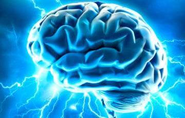 Ученые рассказали, как изменился мозг человека за последние три тысячи лет - charter97.org - США - шт. Огайо - Белоруссия - штат Оклахома - county Frontier