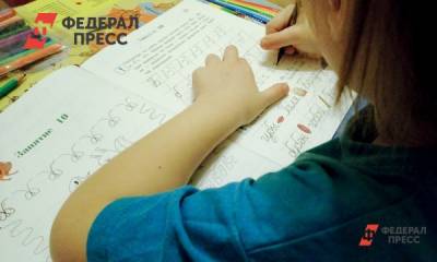 В Новосибирске прокуратура проверила школу, где девочке проткнули глаз - fedpress.ru - Новосибирск - р-н Кировский