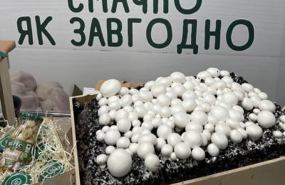 Верес вырастил рекордный урожай грибов - agroportal.ua - Украина - Молдавия - Белоруссия