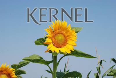 Кернел сократил продажи растительных масел на 25% - agroportal.ua - Украина