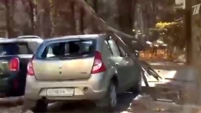 Разгул стихии в столичном регионе - 1tv.ru - Санкт-Петербург - Калининград