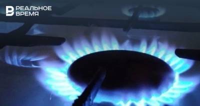 Наталья Гаврилица - В Молдавии ввели режим ЧП из-за дефицита газа - realnoevremya.ru - Молдавия