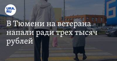 В Тюмени на ветерана напали ради трех тысяч рублей. Видео - ura.news - Тюмень - Тюменская обл.