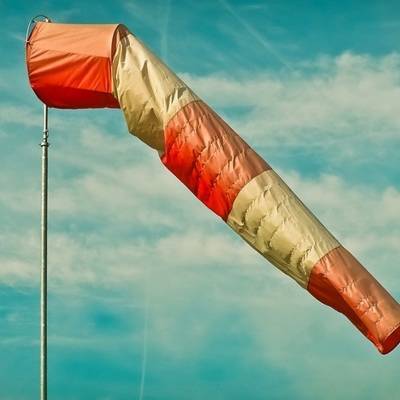 Сильным ветром в Москве повалены восемь деревьев - radiomayak.ru - Москва - Московская обл.