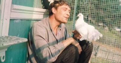 Владимир Меньшов - Почему фильм «Любовь и голуби» у меня вызывает резкое отторжение - skuke.net