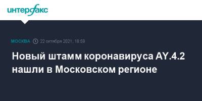 Камиль Хафизов - Новый штамм коронавируса AY.4.2 нашли в Московском регионе - interfax.ru - Москва - Санкт-Петербург - Тверь