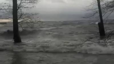 Жители Кронштадта засняли страшные волны у форта в Финском заливе - dp.ru - Санкт-Петербург - Кронштадт