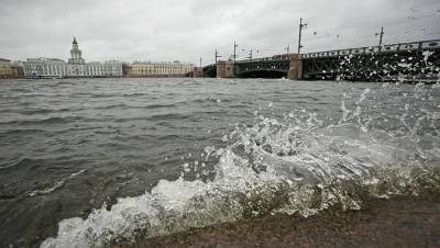 Последствия шторма, Апрашка на торгах и резкое повышение ставки: Петербург 22 октября - dp.ru - Санкт-Петербург - Сестрорецк
