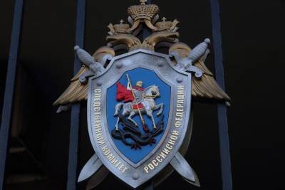 Директор школы в Щиграх Курской области подозревается в злоупотреблении полномочиями - chr.mk.ru - Россия - Курская обл.