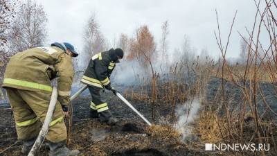 Торфяник у Солнечного продолжает тлеть: его тушат 276 пожарных - newdaynews.ru - Екатеринбург