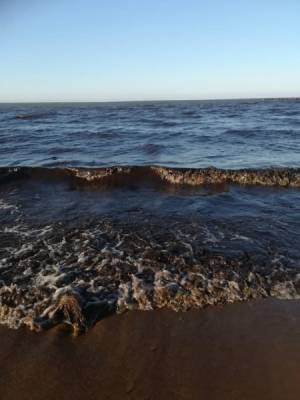 СМИ: В южной части Байкала вода окрасилась в черный цвет - nakanune.ru - Улан-Удэ - Байкал