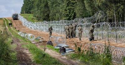 В Литве предлагают привлечь беженцев к строительству забора, ограждающего от них же - eadaily.com - Белоруссия - Польша - Литва