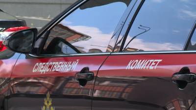 Александр Бастрыкин - Исмаилов Тельман - Бастрыкин поручил изучить основания отказа Черногории в выдаче Исмаилова - russian.rt.com - Россия - Черногория