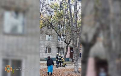 На Днепропетровщине сняли с дерева беременную женщину - korrespondent.net - Украина - Запорожская обл. - Днепропетровская обл. - Никополь - Мелитополь