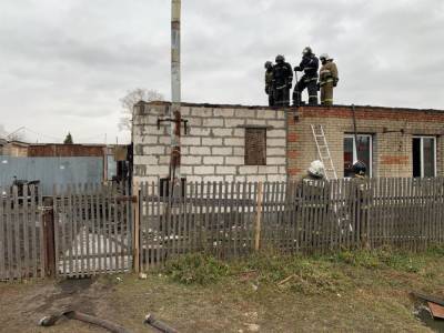 Уголовное дело возбудили после гибели ребёнка в пожаре под Новосибирском - sib.fm - Россия - Новосибирск - Новосибирская обл. - Мирный