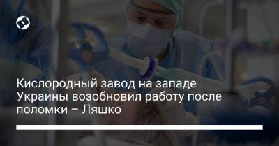Виктор Ляшко - Кислородный завод на западе Украины возобновил работу после поломки – Ляшко - liga.net - Украина - Польша