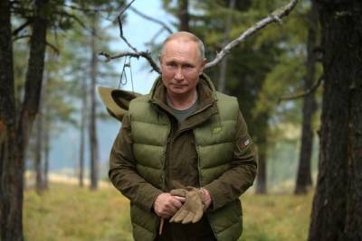 Владимир Путин - Писатель объяснил, как Путин может вызвать у россиян интерес к чтению - vm.ru - Москва - Россия