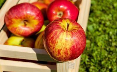 Sina (Китай): яблоки быстро портятся, если их оставить надолго? Три секрета, как сохранить их свежими и вкусными подольше! - inosmi.ru - Китай