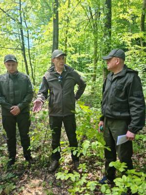 Андрей Малеваный - В Госэкоинспекции заявили, что больше всего нарушений в сфере растительного мира происходят в лесах - ukrainianwall.com - Украина