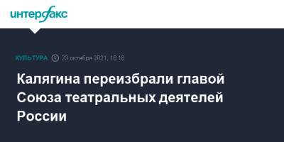 Александр Калягин - Калягина переизбрали главой Союза театральных деятелей России - interfax.ru - Москва - Россия - РСФСР