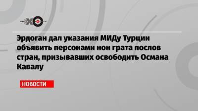 Тайип Эрдоган - Эрдоган дал указания МИДу Турции объявить персонами нон грата послов стран, призывавших освободить Османа Кавалу - echo.msk.ru - США - Турция - Германия - Франция - Канада