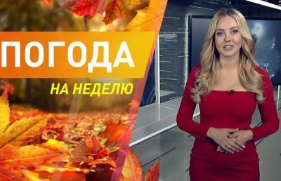 Дмитрий Рябов - Потеплеет или похолодает? Погода на неделю с 25 по 31 октября. Подробный прогноз - ont.by - Украина - Белоруссия