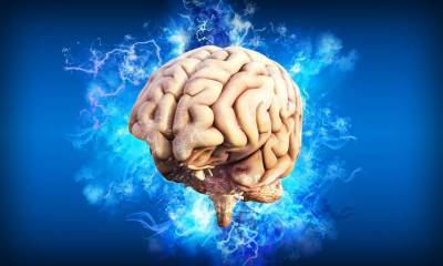 Ученые выяснили, почему мозг современного человека уменьшился в размерах и мира - cursorinfo.co.il - США - county Frontier