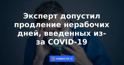 Владимир Путин - Эксперт допустил продление нерабочих дней, введенных из-за COVID-19 - news.mail.ru - Россия