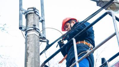 "Ленсвет" восстановил повреждённые электросети после шторма - dp.ru - Зеленогорск