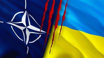 Тонут во лжи и дают невыполнимые обещания: Куда заведет блок НАТО его нынешняя политика - 5-tv.ru - Москва - Россия - Украина - Грузия - Афганистан
