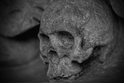 Жители Челябинска обнаружили человеческие скелеты рядом с домом - chel.mk.ru - Челябинск - район Центральный