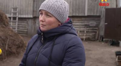 Безработной сельчанке дали 250 тысяч рублей на собственное дело: "Решила разводить быков" - pg21.ru