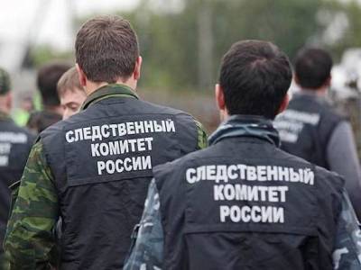 СКР возбудил дело после смертельного ДТП с автобусом в Калмыкии - rosbalt.ru - Россия - Санкт-Петербург - Махачкала - Астрахань - респ. Калмыкия