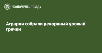Роман Лещенко - Аграрии собрали рекордный урожай гречки - epravda.com.ua - Украина - Винницкая обл.