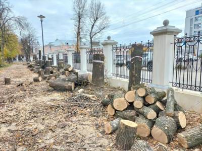 Экологи прокомментировали вырубку деревьев в Наташкином парке Рязани - 7info.ru - Рязань - Экология