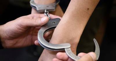 В Польше задержали украинцев, которые перевозили нелегалов - dsnews.ua - Украина - Польша
