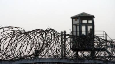 Омбудсмен прокомментировал данные о попытках суицида в колонии в Калужской области - russian.rt.com - Калужская обл.