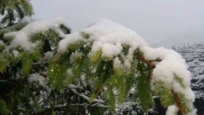 Зима нагрянула в Украину раньше времени, землю заметает снегом и мороз -6: кадры непогоды - politeka.net - Украина