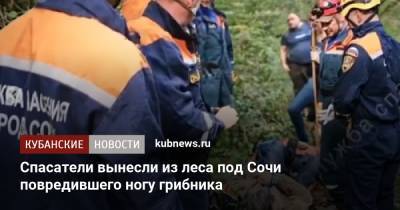 Спасатели вынесли из леса под Сочи повредившего ногу грибника - kubnews.ru - Сочи - Краснодарский край