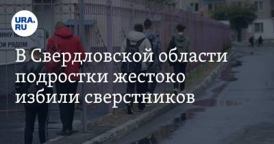 Валерий Горелых - В Свердловской области подростки жестоко избили сверстников - ura.news - Россия - Свердловская обл.